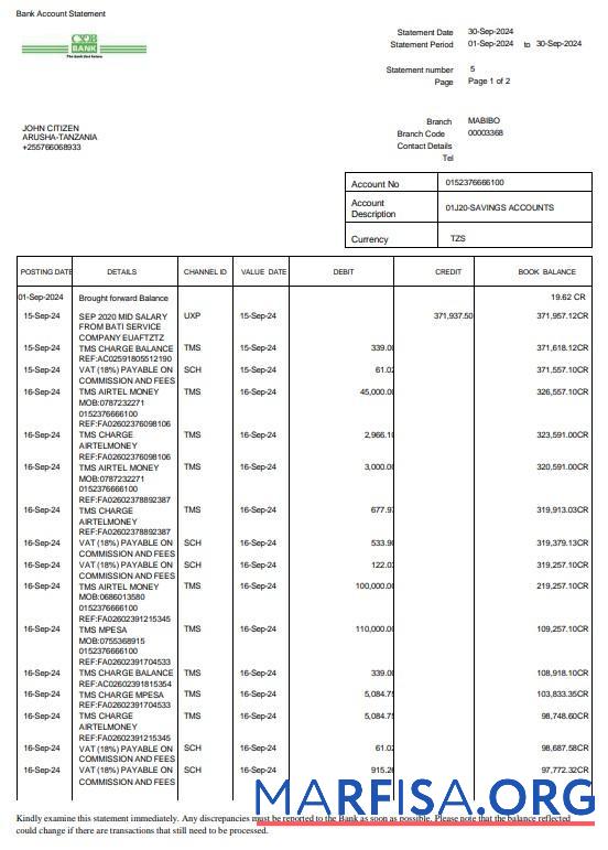 Realistic Tanzania CRDB bank statement 3 – 6 months word real example